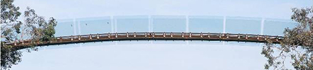 Kings Park Walkway 2